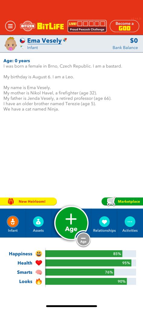 How To Become A Vet In BitLife .